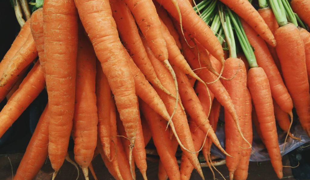 Karotten sind prima Beikost