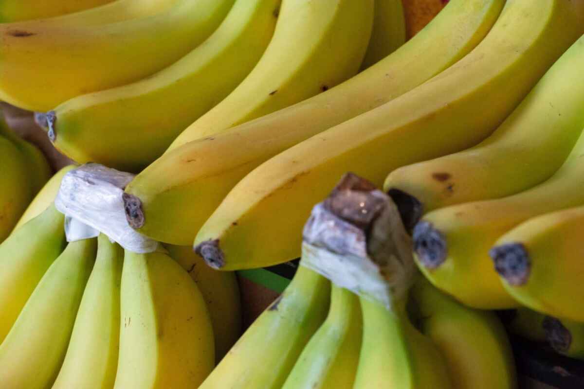 Bananen eignen sich auch super als Beikoststarter.