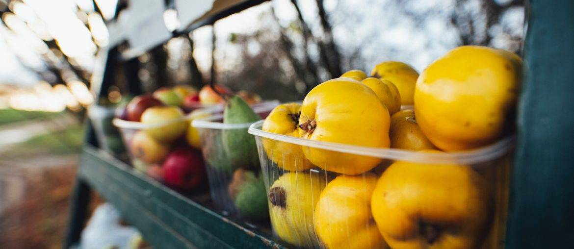 #momshaming und Ernährung - Bio-Gemüse ist nicht das Maß der Dinge bio, Ernährung, gemüse, gesund, kinder