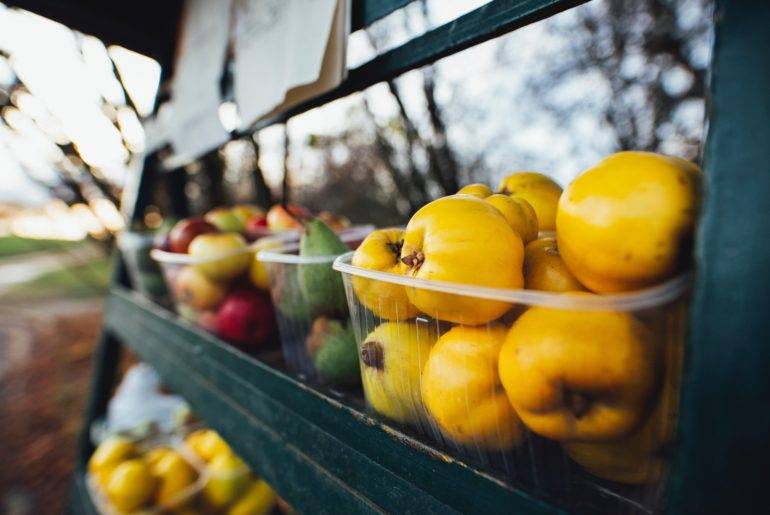 #momshaming und Ernährung - Bio-Gemüse ist nicht das Maß der Dinge gesund