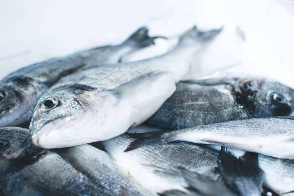 Fisch in der Beikost ist gesund! Süßkartofffel Lachs Brei schmeckt.