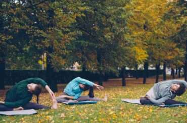 Three people practicing yoga in a park during fall surrounded by trees.