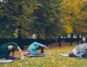 Three people practicing yoga in a park during fall surrounded by trees.